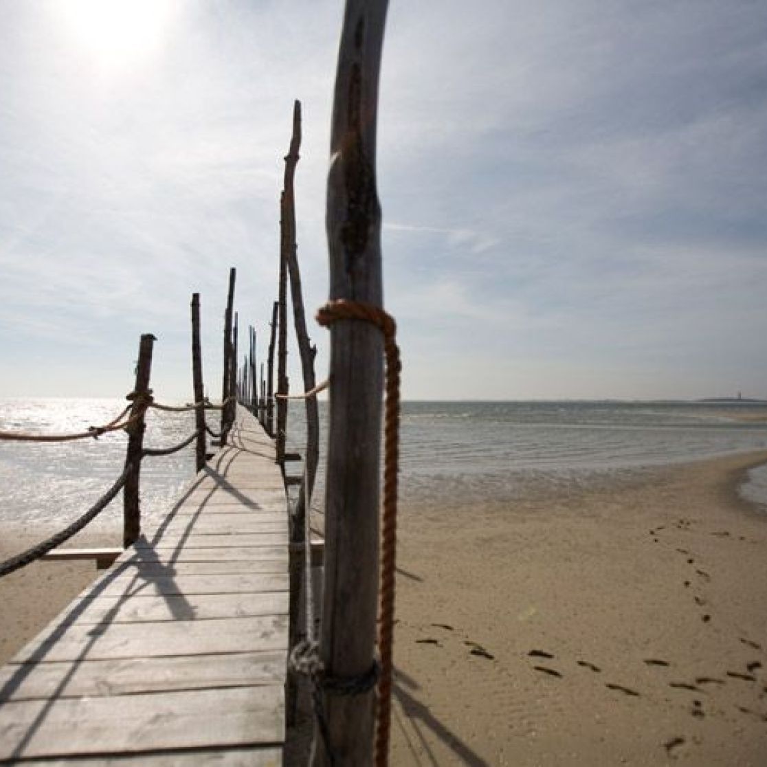 Return trip Texel Vlieland