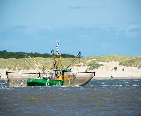amelandfoto_garnalenkotter_1_1.jpg