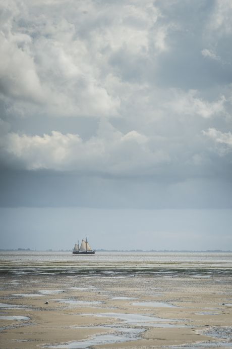 Wadden Sea World Heritage - Wadden.nl