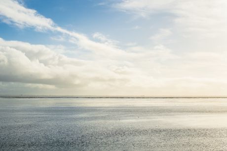 Wadden Sea World Heritage - Wadden.nl