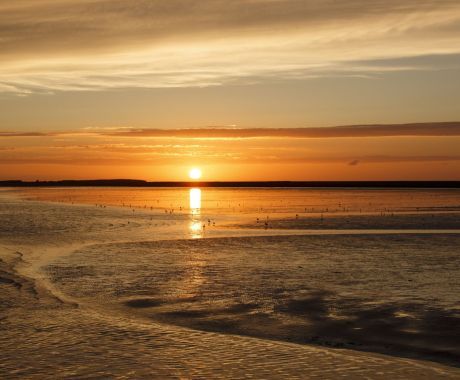 Day of the Wadden Sea - Wadden.nl