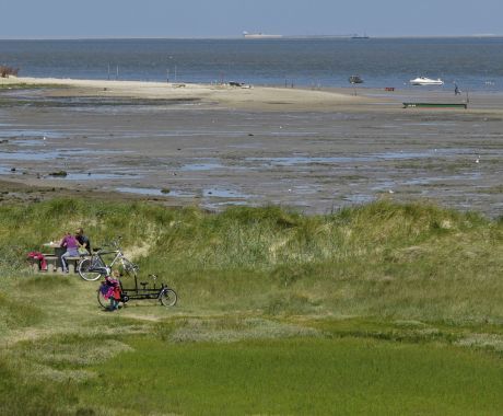 Day of the Wadden Sea - Wadden.nl