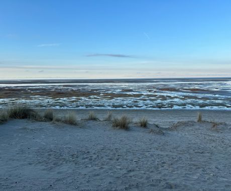 groene_strand_februari2024.jpg