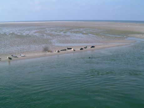 Wadden Sea World Heritage - Wadden.nl