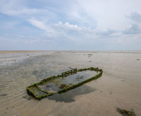 vvv_ameland_68_1.jpg
