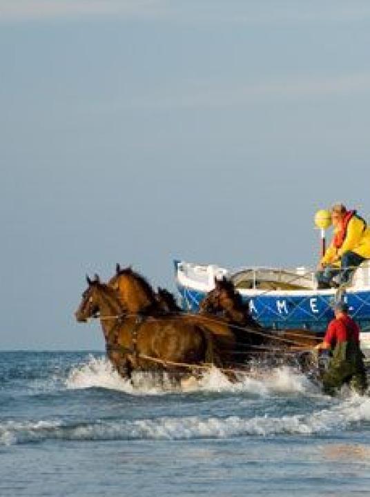 Demonstration horse-drawn rescue boat - Wadden.nl - VVV Ameland