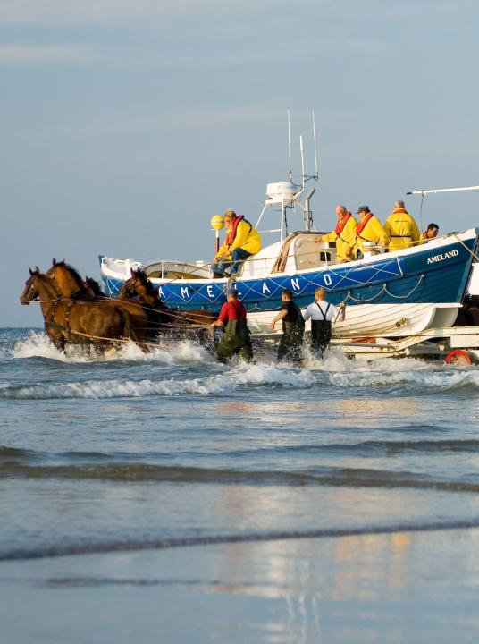 Demonstration horse-drawn rescue boat - VVV Ameland - Wadden.nl