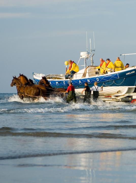 Demonstration horse-drawn rescue boat - VVV Ameland - Wadden.nl