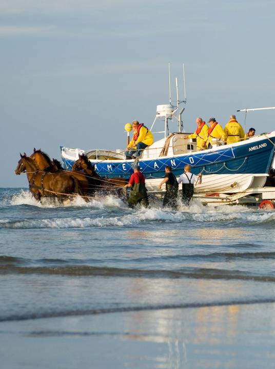 Demonstration horse-drawn rescue boat - VVV Ameland - Wadden.nl