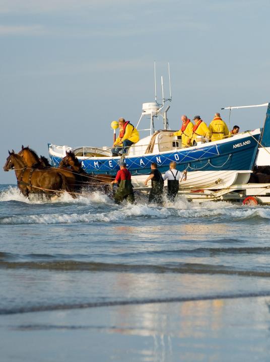 Demonstration horse-drawn rescue boat - VVV Ameland - Wadden.nl