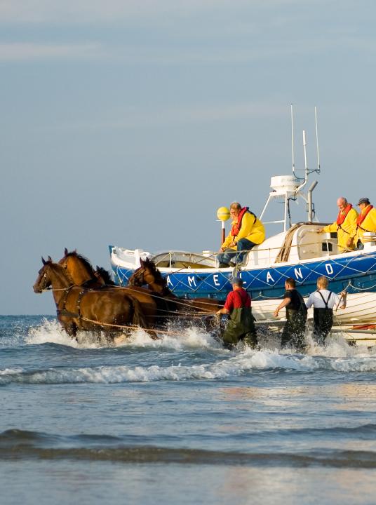 Demonstration horse-drawn rescue boat - Wadden.nl - VVV Ameland
