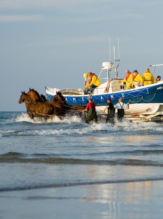 Demonstration horse-drawn rescue boat - VVV Ameland - Wadden.nl