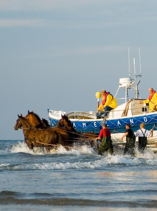 Demonstration horse-drawn rescue boat - Wadden.nl - VVV Ameland