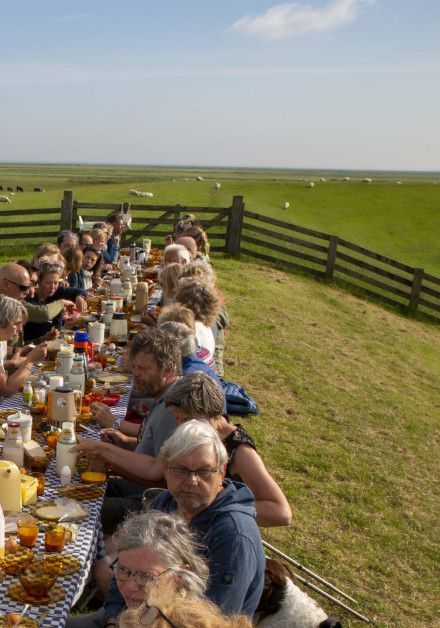 Celebrate the Day ot the Wadden Sea with us! - wadden island Ameland - Wadden.nl