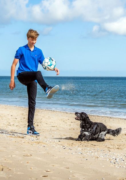 Last-minute deals holiday with your dog - Wadden island Texel - photo: Stefan Krofft