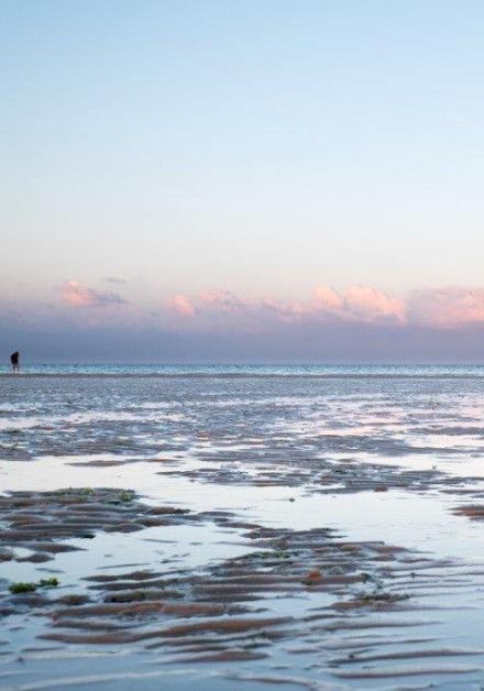 Explore the mudflats on wadden island Vlieland