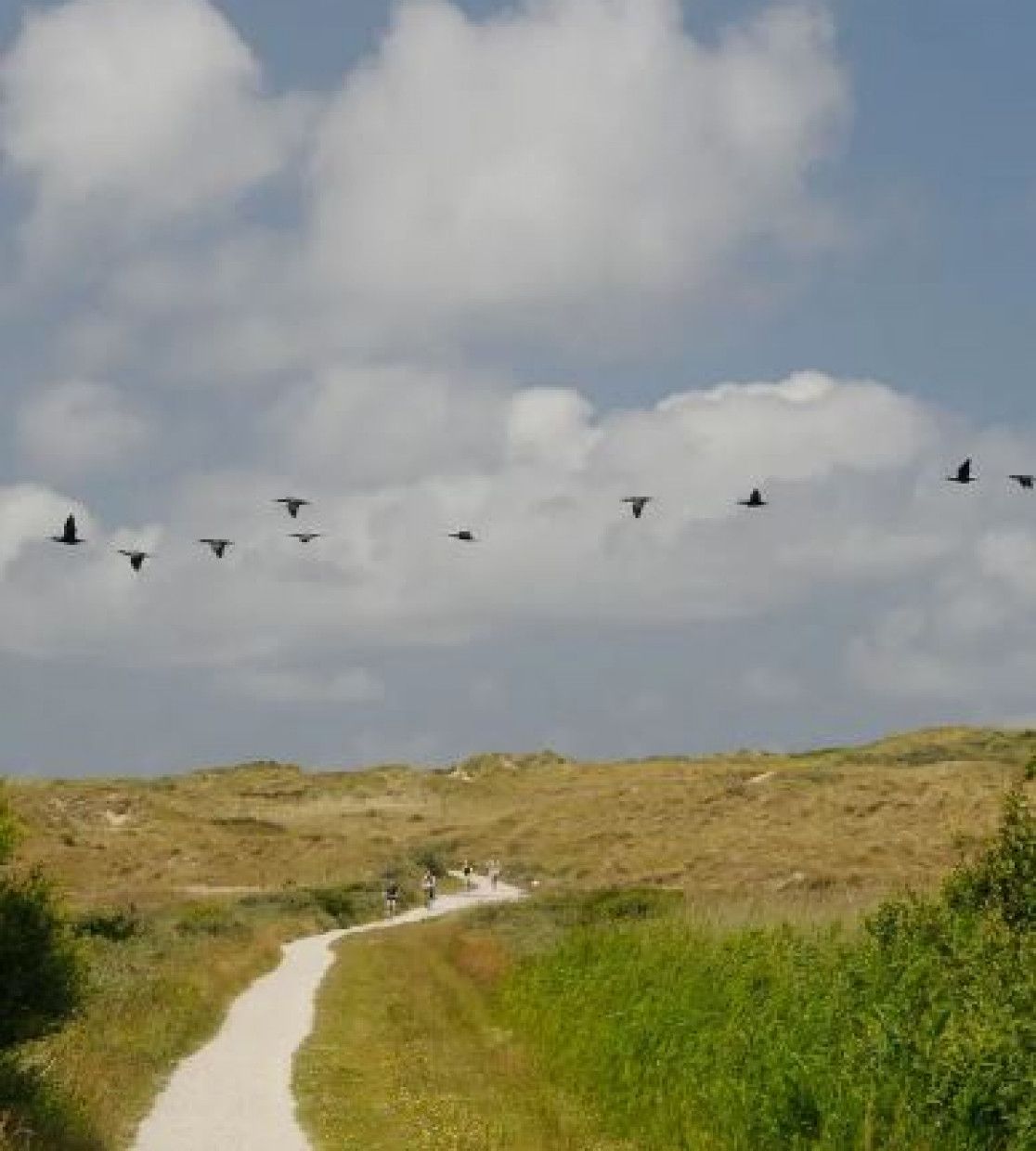 Packages on Vlieland - VVV Vlieland - Wadden.nl