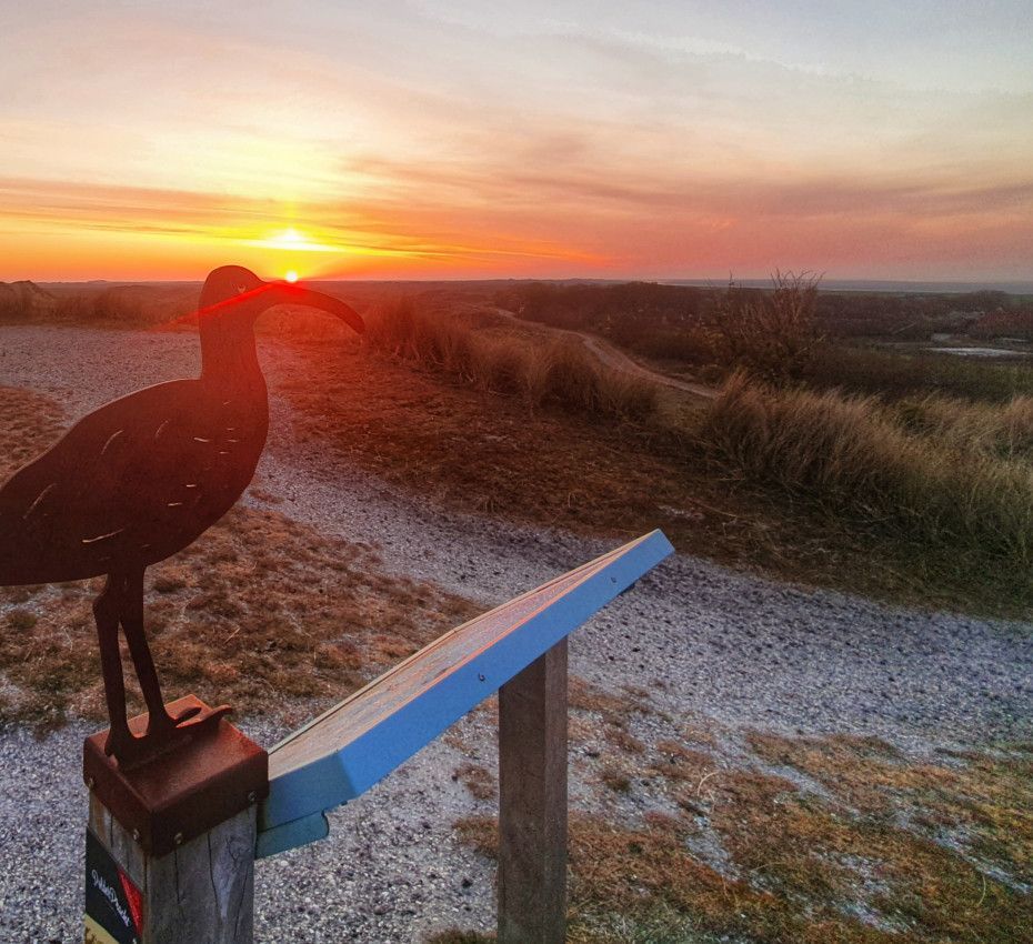 <p>Viewpoints on Terschelling - Wadden.nl</p>
