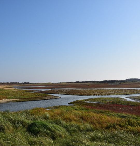 Viewpoints on Vlieland - Wadden.nl