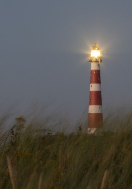 Package deals Ameland - Wadden.nl - VVV Ameland