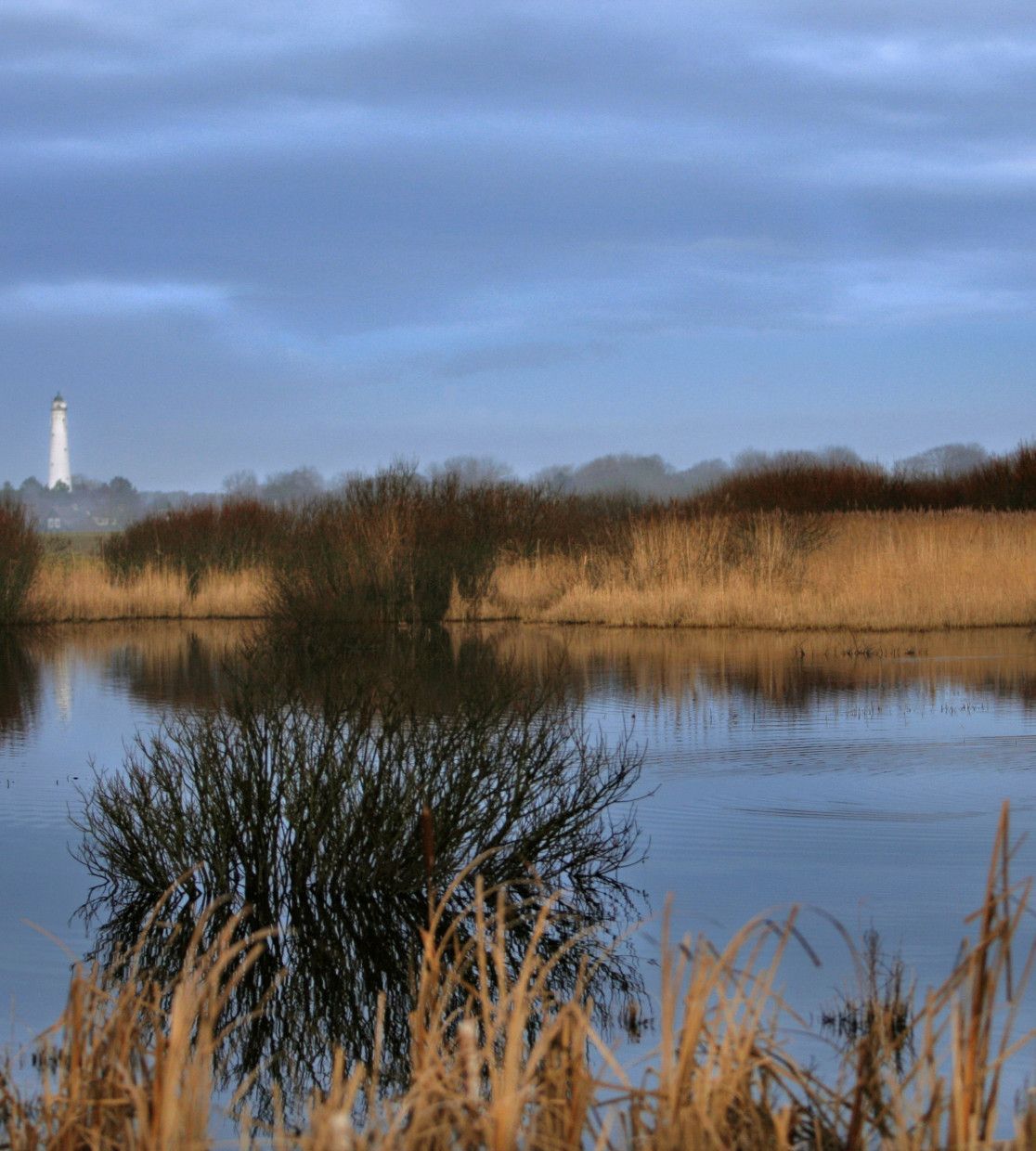 National Park Schiermonnikoog - VVV Schiermonnikoog - Wadden.nl