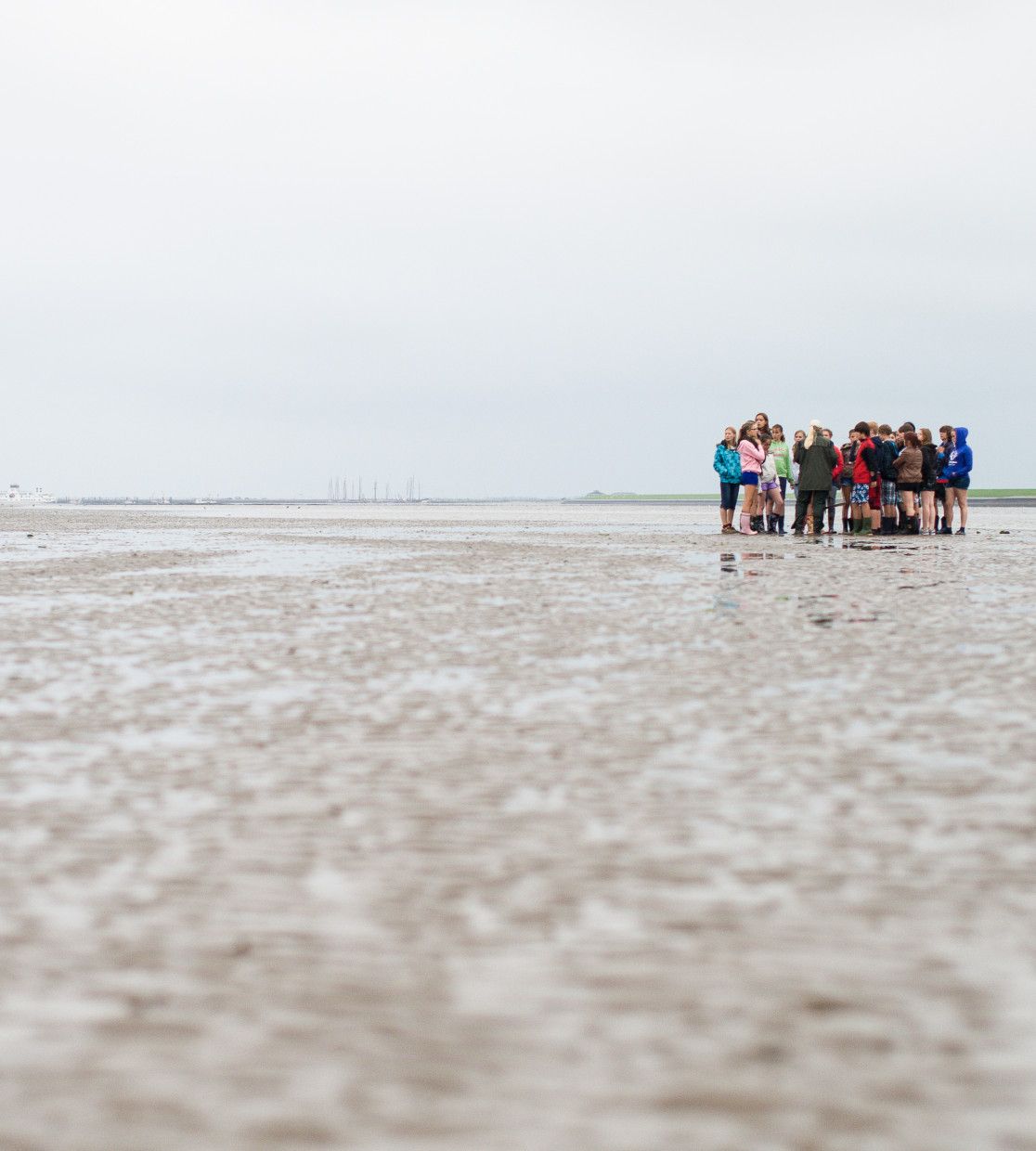 So much to see, do and experience  - Wadden.nl