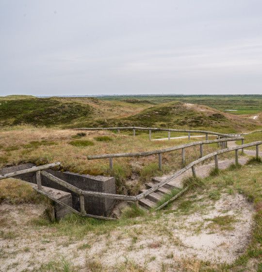 Viewpoints on Texel - Wadden.nl