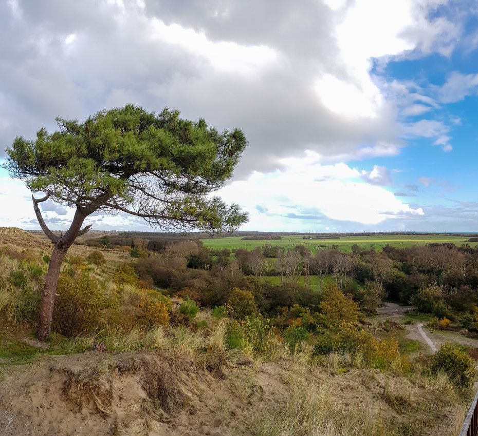 <p>Viewpoints on Terschelling - Wadden.nl</p>