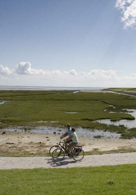 Fietsen Terschelling - Wadden.nl