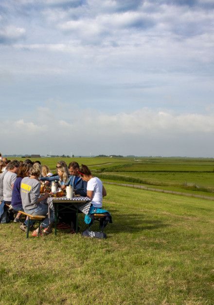 Celebrate the Day ot the Wadden Sea with us! - wadden island Terschelling - Wadden.nl
