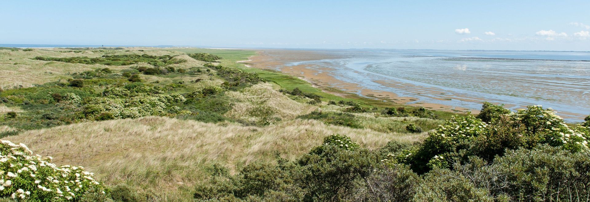 Wadden island Ameland - VVV Ameland - Wadden.nl