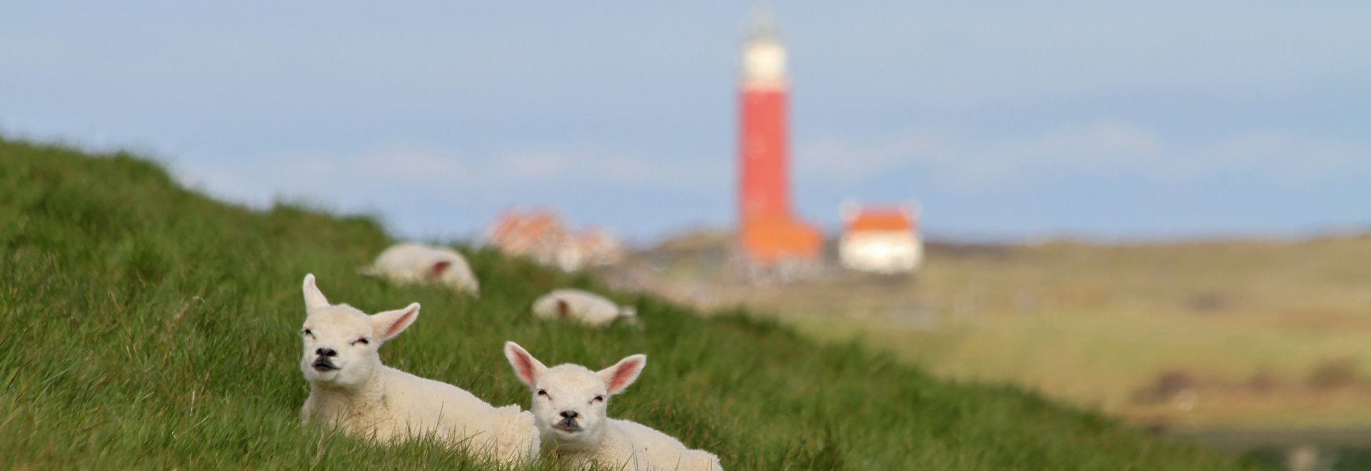 Unique on Texel - VVV Texel - Wadden.nl