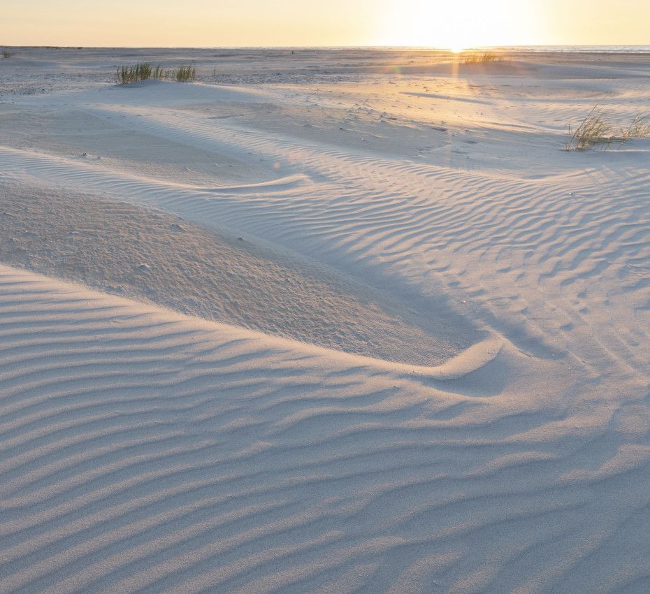 <p>Not far from the German border you will find the hidden island of Rottumeroog - Wadden.nl</p>