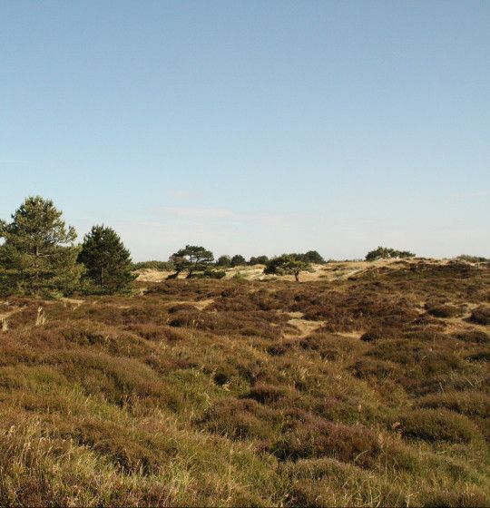 Viewpoints on Vlieland - Wadden.nl