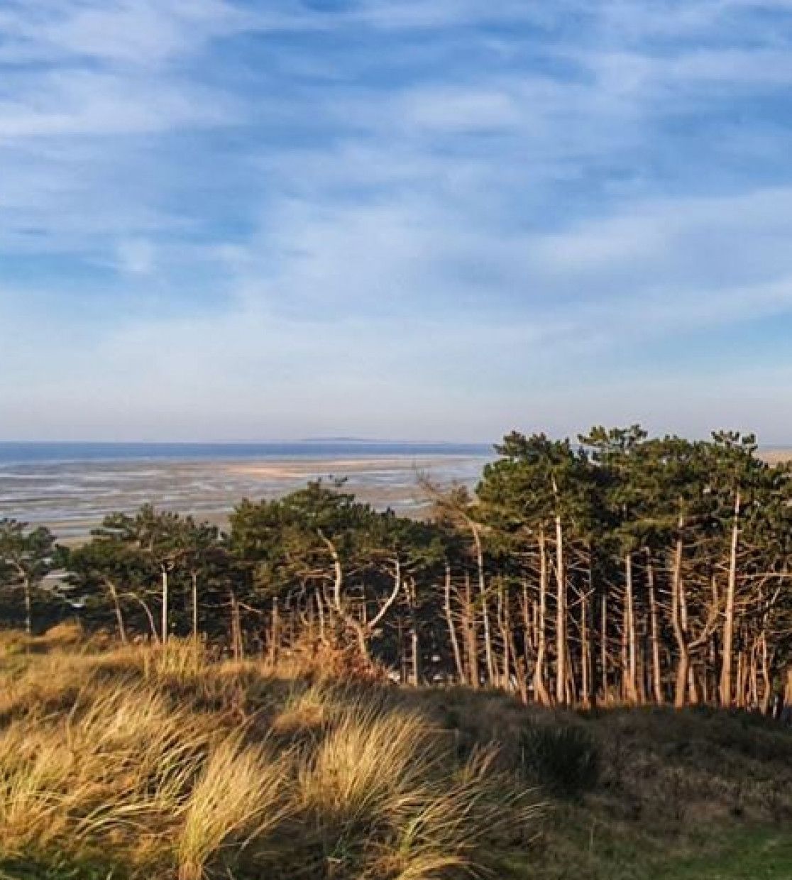 Viewpoints on Terschelling - VVV Terschelling - Wadden.nl