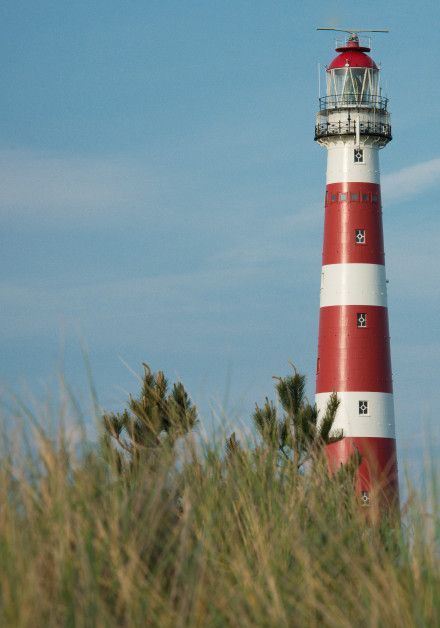 Last-minutes on Ameland - VVV Ameland - Wadden.nl