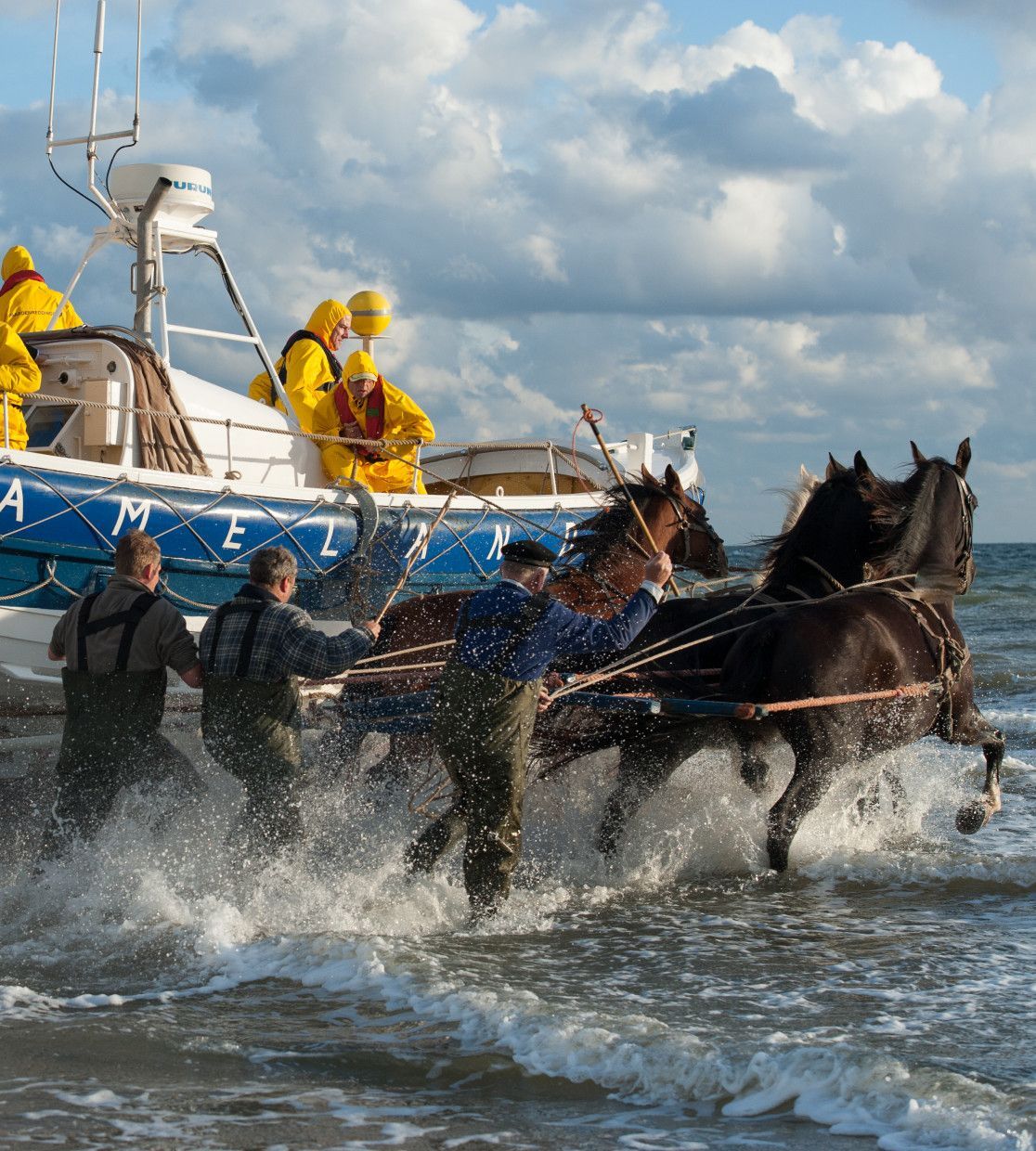 Demonstration horse-pulled lifeboat - VVV Ameland - Wadden.nl