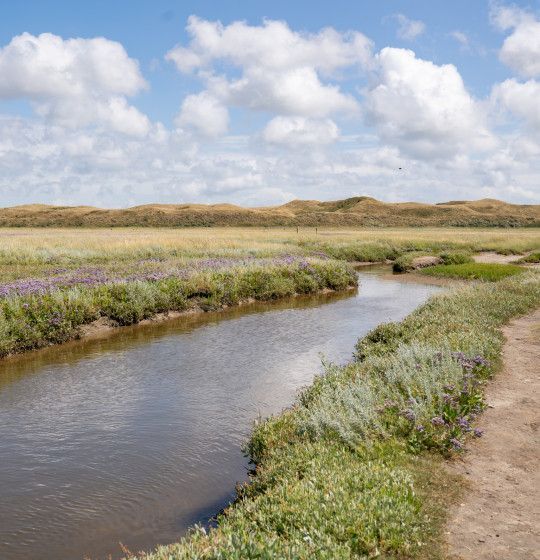 Viewpoints on Texel - Wadden.nl