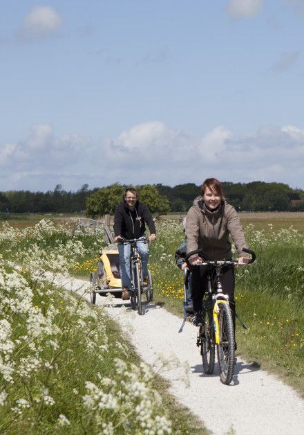 Fietsen Texel - Wadden.nl