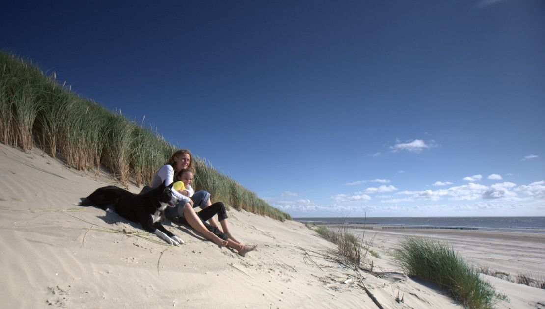 Webcam beach Ameland - Wadden.nl