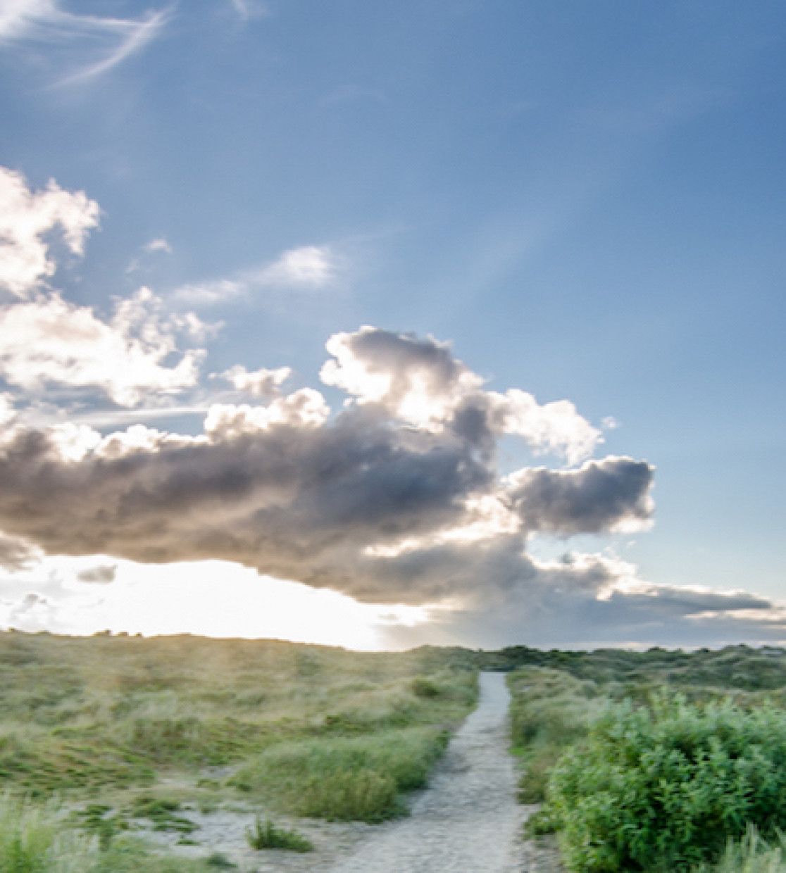 Discover the national park - VVV Schiermonnikoog - wadden.nl