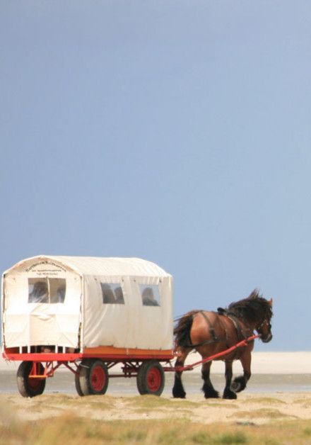 Last-minutes on Schiermonnikoog - VVV Schiermonnikoog - Wadden.nl