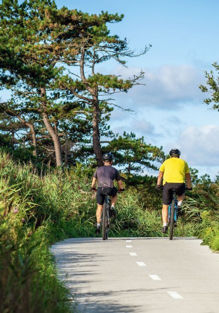 Cycling on Texel - Wadden.nl