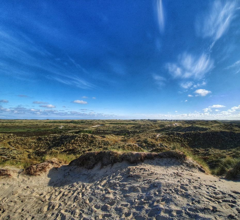 <p>Viewpoints on Terschelling - Wadden.nl</p>