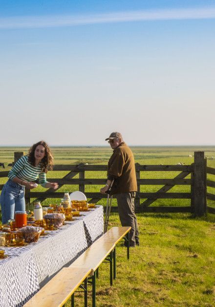 Celebrate the Day ot the Wadden Sea with us! - wadden island Schiermonnikoog - Wadden.nl