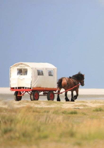 Zien & Doen Schiermonnikoog - Wadden.nl