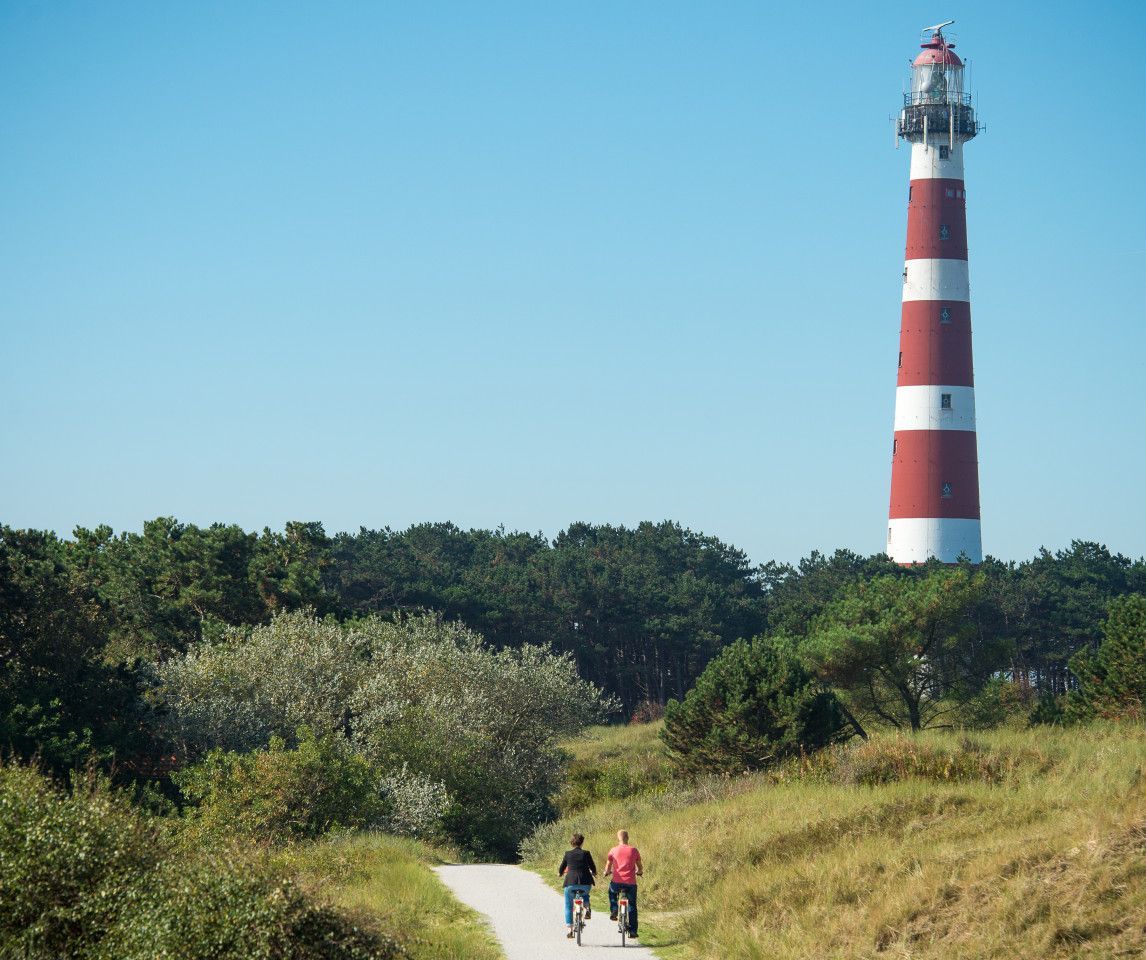 Last-minute to Ameland? - VVV Ameland - Wadden.nl