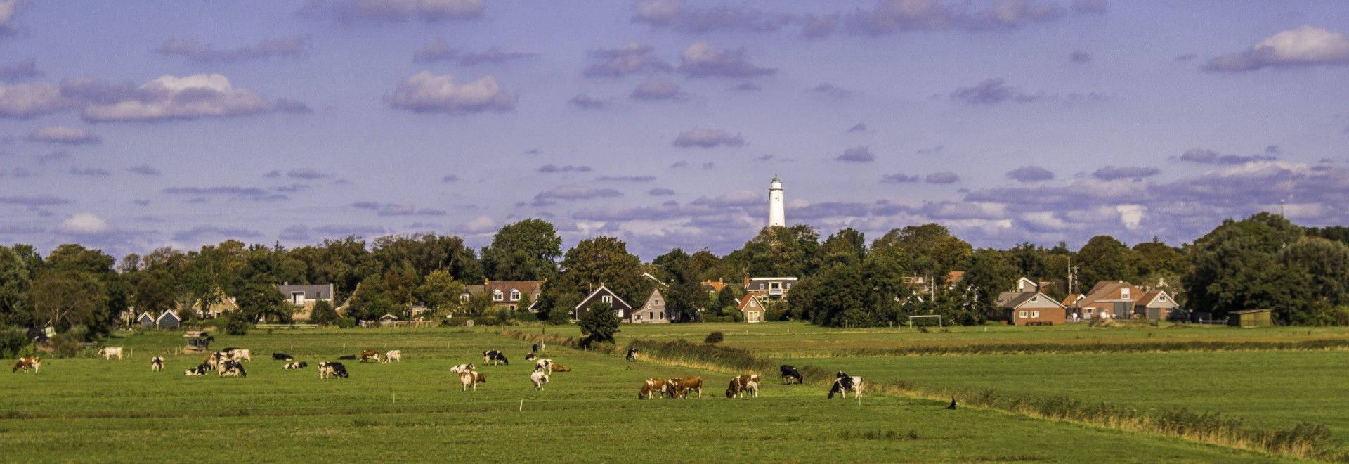 Unique on Schiermonnikoog - VVV Schiermonnikoog - Wadden.nl