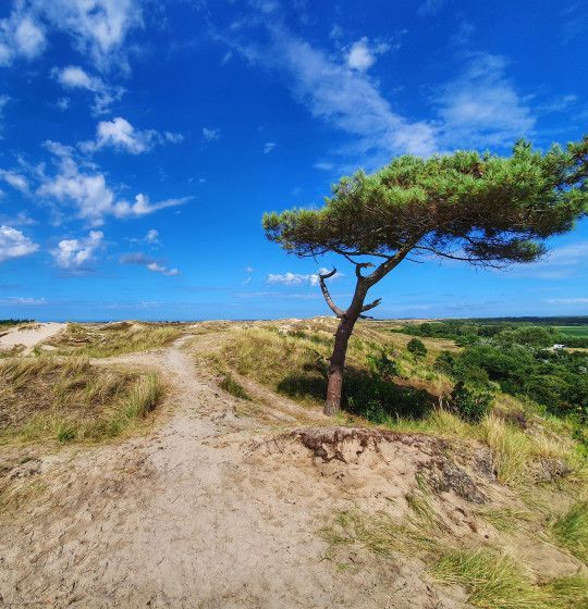 Viewpoints on Terschelling - Wadden.nl