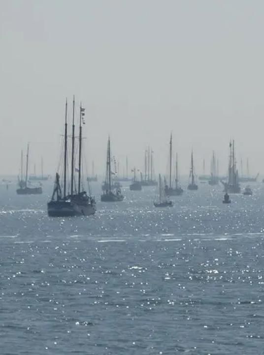 Sagitta sailingrace - VVV Terschelling - Wadden.nl